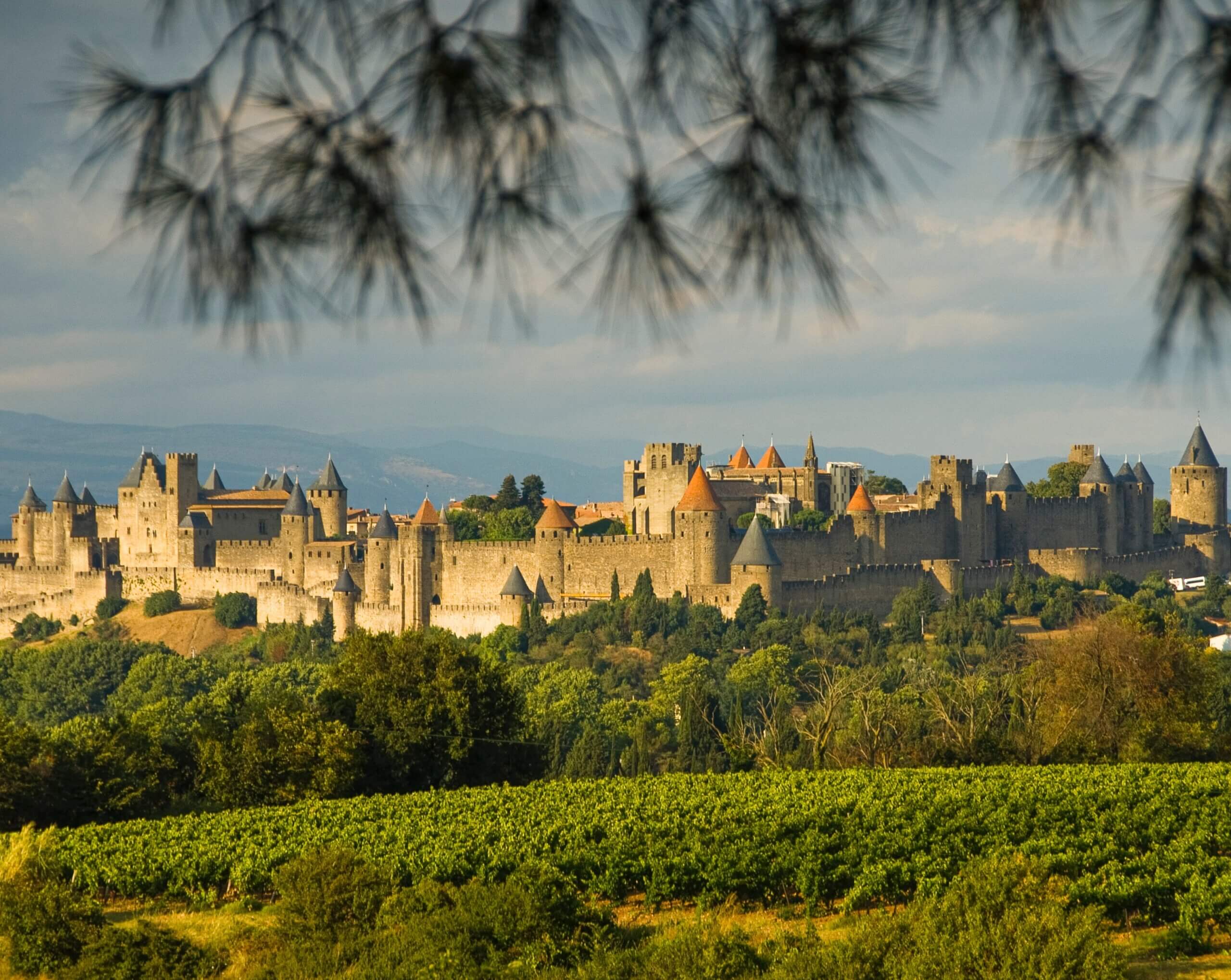 Vue sur la cité médiévale de Carcassonne en mode paysage